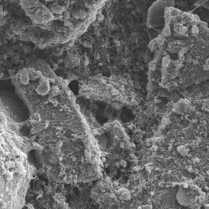 Have Finnish researchers found a route to silicon battery anodes? (University of Eastern Finland)