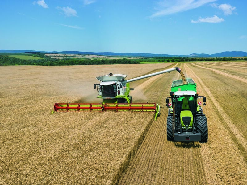 Tiefe Bodenbearbeitung mit Pflug (AXION 800) (Claas)