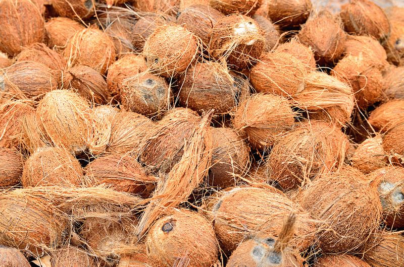 Naturfasern aus Kokos weise sehr gute Dehnungseigenschaften auf. (© rpiola - Fotolia)
