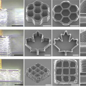 Mithilfe kommerzieller Bio-Tinten wie Cellink Start und Pluronic F 127 druckte das Team Wabenstrukturen und dreidimensionale Gerüste mit B16-Krebszellen. Die Filamente maßen zwischen 18 und 28 Mikrometern, und die Zellviabilität lag nach dem Druck bei etwa 86 %.(Bild:  Scientific Advances)