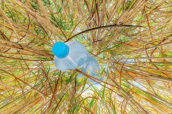 Das neue Bioraffinerie-Technikum der Universität Hohenheim: So wird Gras zu Plastik-Flaschen. |  (Universität Hohenheim / Wolfram Scheible (Miscanthus) und Jan Winkler (Flasche), Montage: Elsner)