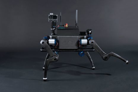 Anymal ist ein Laufroboter, der Hindernisse schnell überwinden kann. (ETH Zürich/ Robotic Systems Lab)