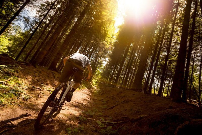 Das Start-up Möve Bikes hat einen rein mechanischen Antrieb für Fahrräder entwickelt. (Möve Bikes / Christoph Laue)