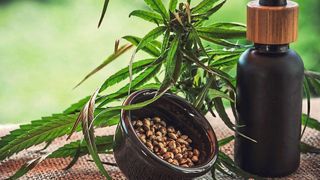 Der deutsche CBD-Produzent Cannacare erhält durch die Fusion mit dem kanadischen Unternehmen Greenrise Zugang zum internationalen CBD-Markt (Symbolbild). (gemeinfrei)