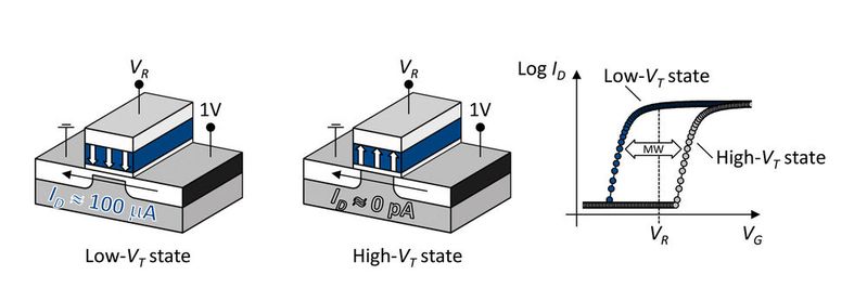 Stabile Zustände: Beim Anlegen einer Steuerspannung (Gate-Write-Puls) richten sich die Hafnium-Ionen dauerhaft aus. Stabile Zustände: Beim Anlegen einer Steuerspannung (Gate-Write-Puls) richten sich die Hafnium-Ionen dauerhaft aus.