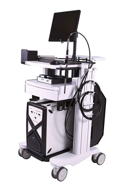 Das Raman-RXN2-Analysesystem als mobile Laborlösung besteht aus vier Elementen: einem Analysegerät, Sonden, Software und Datenanalyse. (Bild: Endress+Hauser)