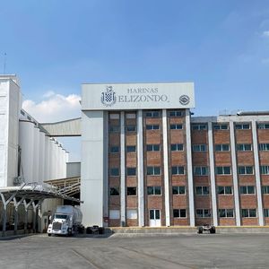 Als eine der größten Weizenmühlen Mexikos, setzt Harinas Elizondo seit 2012, abhängig von den jeweiligen Anforderungen, die verschiedensten Vega-Radarsensoren für Schüttgüter und Flüssigkeiten ein.(Bild:  Vega)