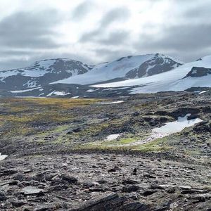“Note the clear nunatak at the mid-right of the glacier,” said Convey. “This is named 'Manhaul Rock' and, when I was first on Signy in 1989-91, it was literally a small rock poking through the ice surface that you could walk/ski/drive a skidoo up to.”(Source:  Prof Peter Convey)