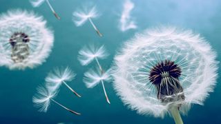 Ungenutzte Kapazitäten und ungewollte Überkapazitäten lassen sich vermeiden, wenn man sich mehrerer Cloud-Anbieter bedient, also die Cloud mit dezentralen Ressourcen versorgt. (Bild: CreativeChaos - stock.adobe.com)