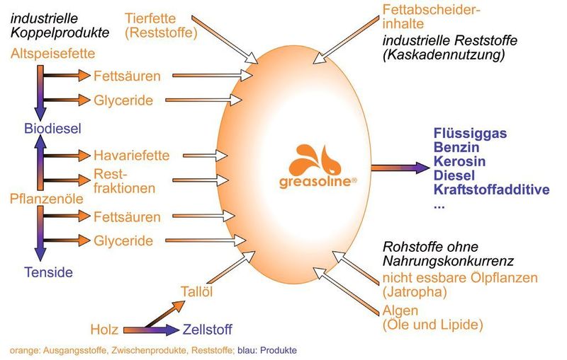 Abb. 4: Mögliche Einsatzstoffe und Produkte des greasoline-Verfahrens  (Bild: Fraunhofer UMSICHT)