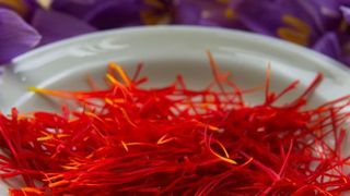 Mit einem Preis von bis zu 30.000 Euro pro Kilogramm ist Safran das teuerste Gewürz der Welt. (Symbolbild) (gemeinfrei)