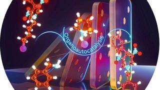 Ein grüner und effizienter Weg zu bioaktiven N-substituierten Dihydropyridinen durch Organoautokatalyse. Diese atomökonomische, dominoähnliche Umwandlung erfordert keinen externen Katalysator und stützt sich auf ein in situ erzeugtes Pyrrolidiniumsalz als selbsterhaltenden Organokatalysator. (Bild: Ella Maru Studio)