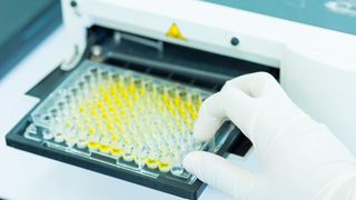 0106336226 (Bild: Lab_Photo - stock.adobe.com)