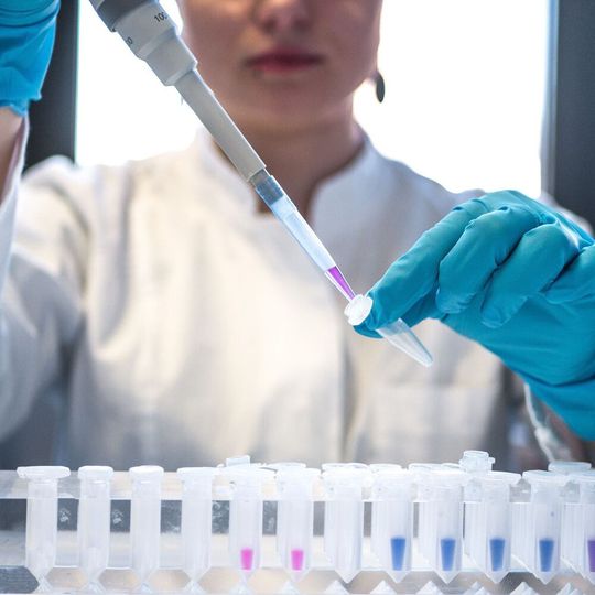 Der Bedarf an Führungspersonal und Fachkräften in der Pharma-Branche ist hoch. Der Bedarf an Führungspersonal und Fachkräften in der Pharma-Branche ist hoch.
