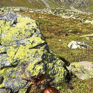 (Artemis Treindl/ETH Zürich)