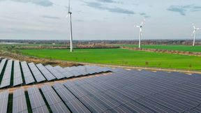 Stromdurst der IT-Branche schafft starken Markt für Energiewende  (Bild: APA/dpa)