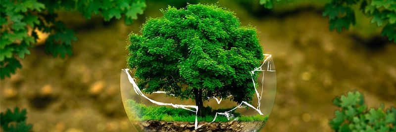 enexion berät Unternehmen rund um die Herausforderungen der kommenden ESG-Pflichten.