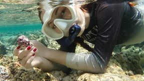 Lena Li, Erstautorin der Studie, hält eine im Roten Meer gesammelte Rhodolithenprobe in der Hand. Die frei lebenden Kalkalgenknollen dienen als natürliche Klimaarchive und ermöglichen die Rekonstruktion täglicher Meerwassertemperaturen.  
 (Bild: © Lucia Bravo)