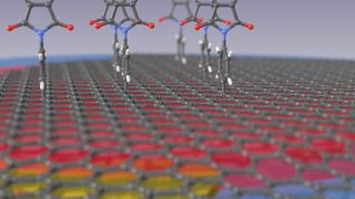 Die Zeichnung veranschaulicht wie Maleimid-Verbindungen an der Graphenoberfläche andocken. Dabei liegt die Graphen-Monolage auf einer dünnen Schicht aus Siliziumnitrid (rot) auf einer Quarzmikrowaage (blau) und kann mit einem Goldkontakt (gelb) unter Spannung gesetzt werden. (Bild: Marc A. Gluba/HZB)