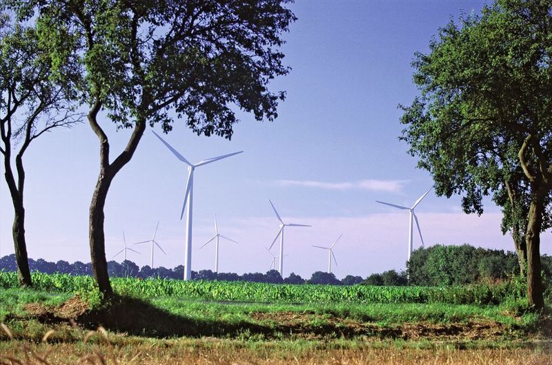 Kabel und Leitungen für alle Anwendungen in Windkraftanlagen – von der Gondel bis zum Fundament.  (Bild: Nexans)