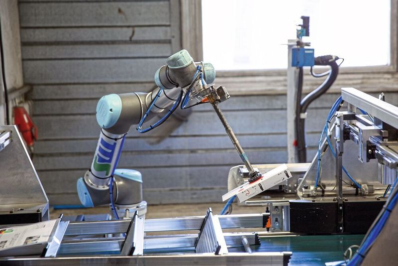Hailos erster UR-Roboter, ein UR5, ist mit einem Sauggreifer ausgerüstet. Damit kann er Kartons mit Zubehör an Stehleitern festklemmen, bevor sie verpackt werden. (Universal Robots)