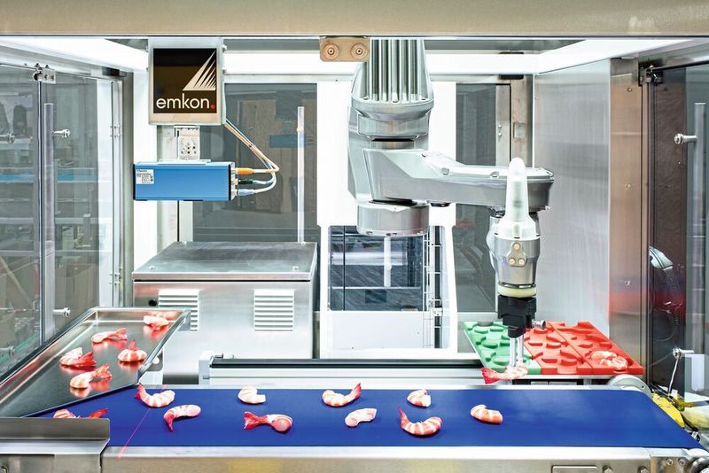 In der Demozelle unterstreicht der TP80 he seine  Dynamik, die erst bei 200 Picks pro Minute endet, beim Verpacken von Shrimps, die er vom laufenden Band abgreift und lagerichtig im Tray ablegt. (Arne von Brill)