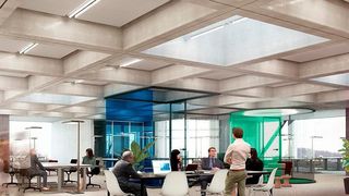 Dank vernetzter LED-Leuchten lassen sich Büroräume effizienter nutzen und auch das Licht den Bedürfnissen der Mitarbeiter anpassen. (Signify)