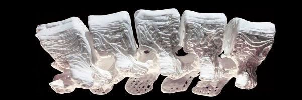 Hyperelastische Knochen von Dimension Inx haben in der Kategorie "Material" bei der 3D Pioneers Challenge 2019 gewonnen.(Bild:  3dpc, Dimension Inx)