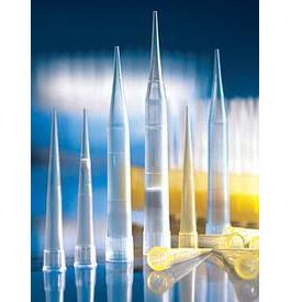 Brand Gmbh Co Kg Produkt Liquid Handling Pipettenspitzen Filterspitzen