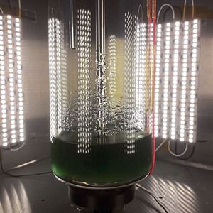 Behälter mit Mars-ähnlicher Atmosphäre, in dem als Teil von Atmos Cyanobaktierien wachsen.(Bild:  ZARM)