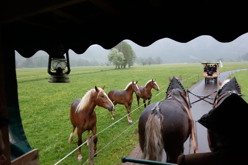 Jetzt hätte man Pferdeflüsterer sein müssen, um zu verstehen, was die gerade unter sich austauschen! (Bild: IT-BUSINESS)