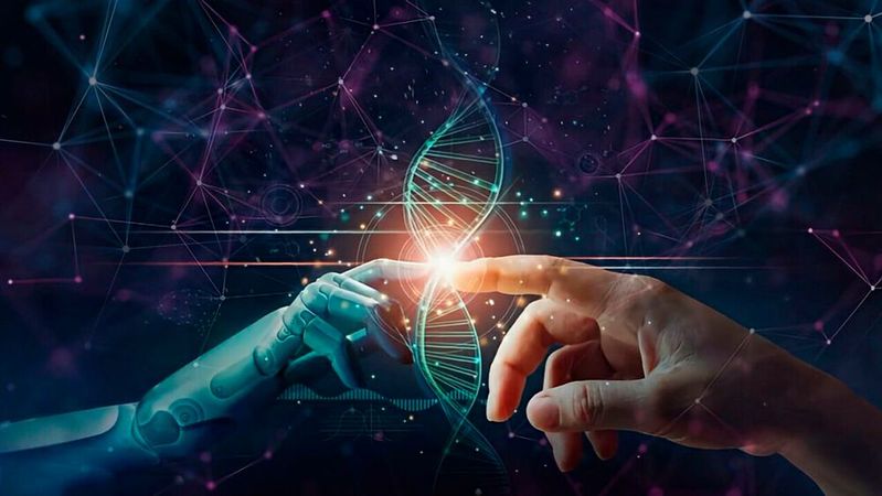 Efficient-Bio-AI can significantly increase the efficiency of neural networks in bioimaging without limiting the accuracy of the models.(Source:  free licensed /  Pixabay)