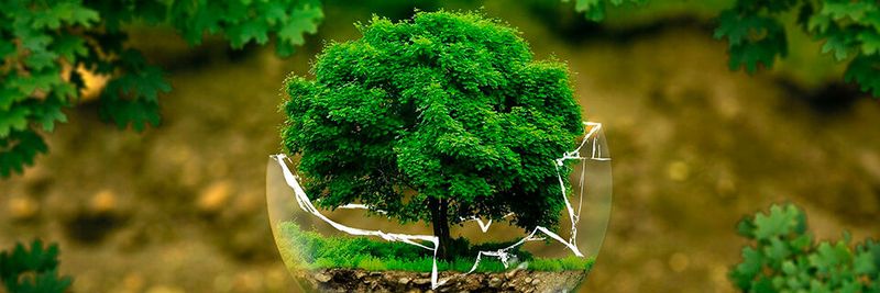 Noch ist es Zeit, die Reißleine zu ziehen: In Sachen Klimaschutz und nachhaltigen Wirtschaftens können Unternehmen so einiges beitragen. Noch ist es Zeit, die Reißleine zu ziehen: In Sachen Klimaschutz und nachhaltigen Wirtschaftens können Unternehmen so einiges beitragen.