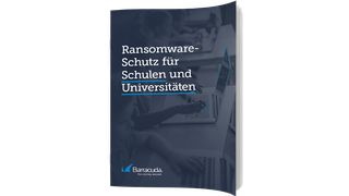 baracuda-schulen (barracuda)