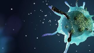 Abb. 1: Zellen einzelner Individuen unterscheiden sich in molekularen Details. Dies dient als Ansatzpunkt für die personalisierte Medizin. (Symbolbild) (©artegorov3@gmail - stock.adobe.com)