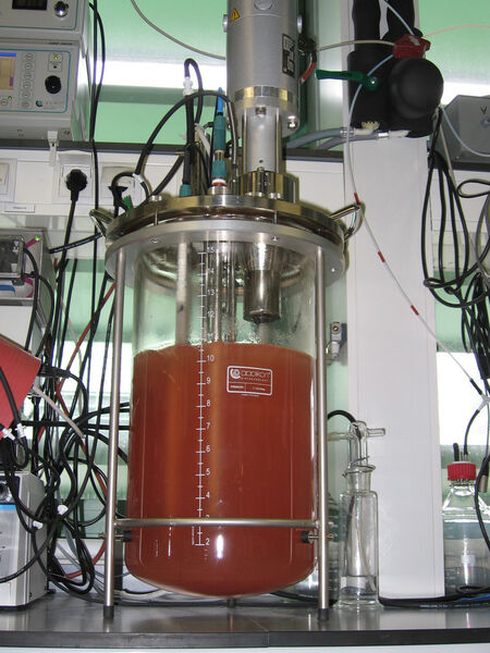 Abb. 2: Bioreaktor mit einer Anreicherungskultur von Anammox. (Bild: Boran Kartal, Radboud Universität Nijmegen)