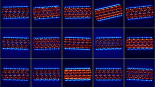 Kryoelektronenmikroskopie Abbildungen eines Flagellum-Filaments (Bild: Michael Bell (Zweitautor))