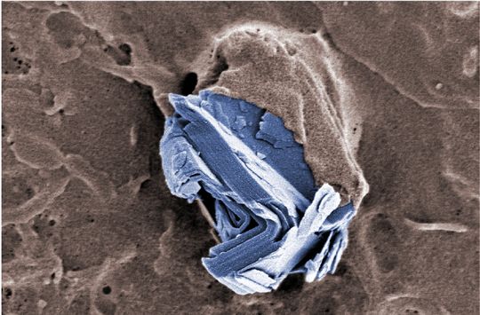 Neben dem einlagigen Graphen gibt es eine ganze Reihe Graphen-ähnlicher Materialien, die vergleichbare Funktionen haben. In diesem eingefärbten Rasterelektronenmikroskopie-Bild ist ein Partikel aus „Few-Layer-Graphene“ (blau) zu sehen. (Bild:  Empa)