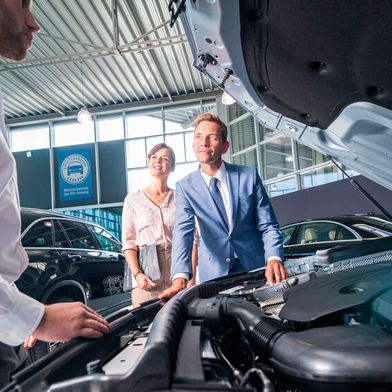 Für den Autohandel werden zwei europaweit geltende Labels verpflichtend. (Bild: ProMotor)