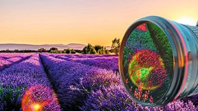 Darstellung von Spektralaufnahme im Feld. (Bild: Fraunhofer-IPMS)