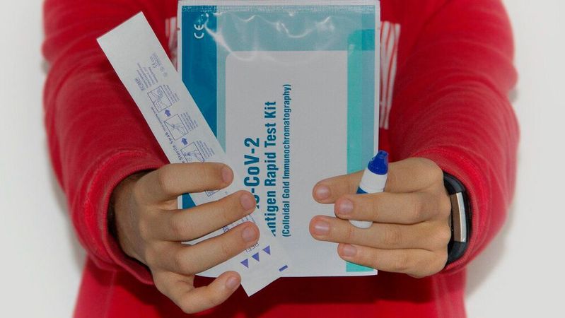 Kfz-Betriebe sollten ihren Mitarbeitern im Verkauf und in den Werkstätten einmal wöchentlich Selbsttests zur Verfügung stellen, rät der ZDK. Kfz-Betriebe sollten ihren Mitarbeitern im Verkauf und in den Werkstätten einmal wöchentlich Selbsttests zur Verfügung stellen, rät der ZDK.