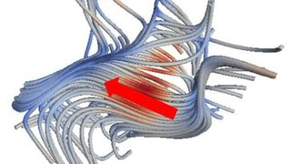 Darstellung von Geschwindigkeitsbahnen in der 3D Simulation. Der rote Pfeil zeigt kollektives Schwimmen, bei dem viele Bakterien sich gleichzeitig sehr schnell bewegen. Dies ist eine Eigenschaft, die sich bei "normalen" Flüssigkeiten nicht beobachten lässt. (Bild: PTB)