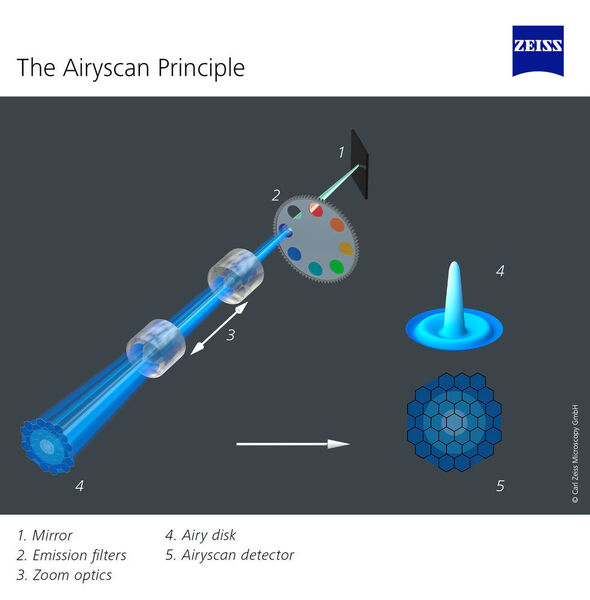 Das Prinzip von Zeiss Airyscan. (Zeiss)