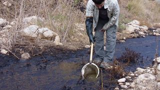Abb. 1: Bei der Olivenölproduktion anfallendes Abwasser wird in vielen Ländern häufig auf Äckern entsorgt. Hier ein Wissenschaftler bei der Probennahme im Wadi Qana im Westjordanland. (Bild: Jawad Hasan, AlQuds University)