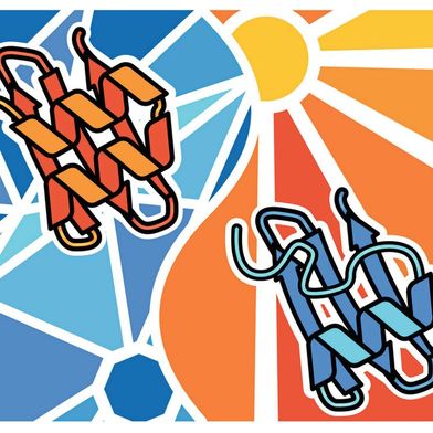 Proteine, die ihre räumliche Struktur als Reaktion auf geringe Temperaturimpulse ändern, eignen sich hervorragend als molekulare Werkzeuge zur thermischen Steuerung von Zellen. (Bild: Benedict Wolf)