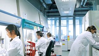 Mit einer Investition von 100 Millionen Euro in seine Pharmasparte will Bayer den Fokus auf umweltfreundliche Marken, Produkte und Verpackungen legen. (Bayer)