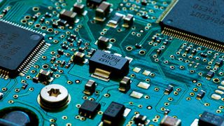 0109902177 (Bild: Sunshine Seeds - stock.adobe.com)