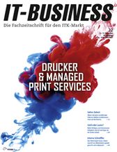 IT-BUSINESS 22/2019 (IT-BUSINESS)