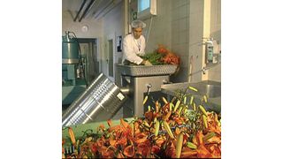 Lückenlose Dokumentation der Inhaltsstoffe ist in der Pharmaindustrie Pflicht. Im Bild Rohstoffanlieferung bei Pascoe, einem Hersteller pharmazeutischer Arzneimittel auf pflanzlicher Basis.  (Bild: Cormeta)