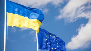 bvdw-ukraine-eu (Quelle: BVDW)